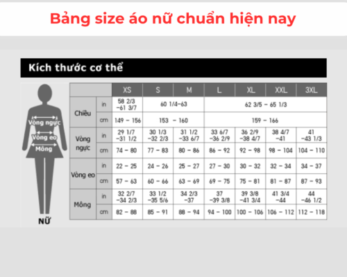 Bảng size áo thun nữ nhà MAPMOSHOP
